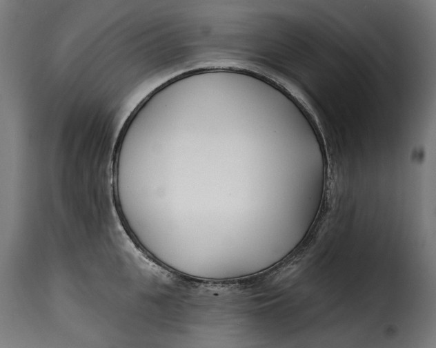 X0000115250951200911201639