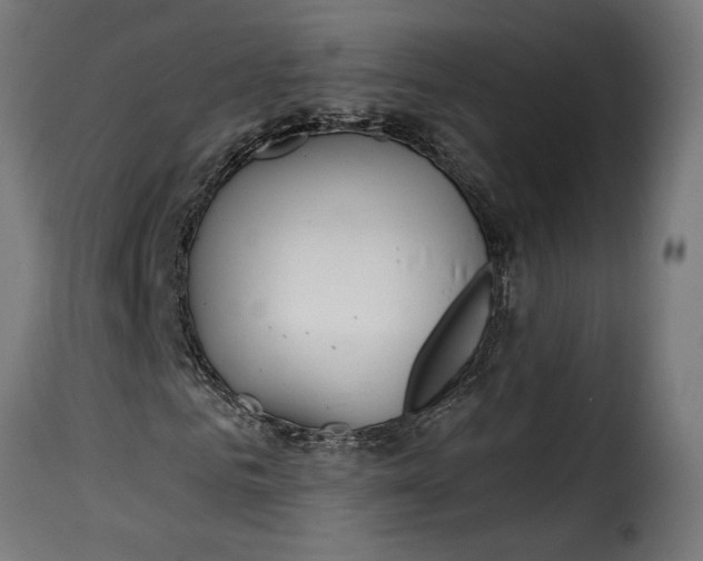 X0000115250961200911201639