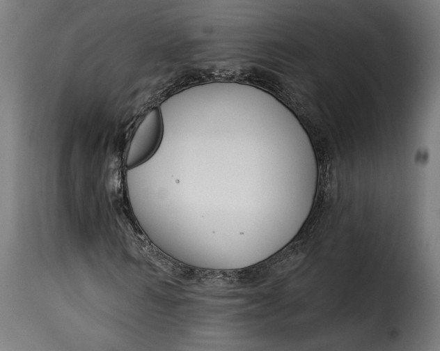 X0000115250962200911201639