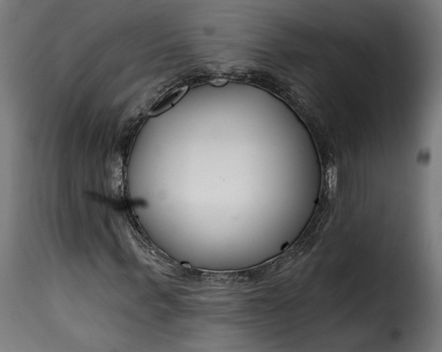 X0000115250963200911201639