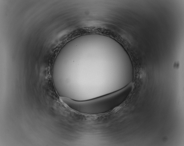 X0000115250965200911201639