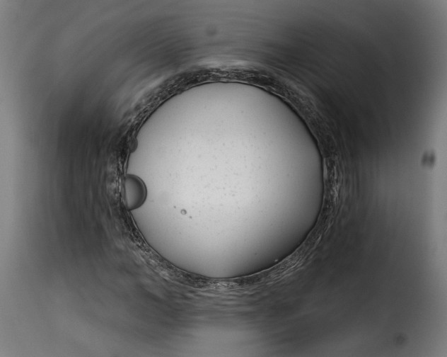 X0000115250966200911201639