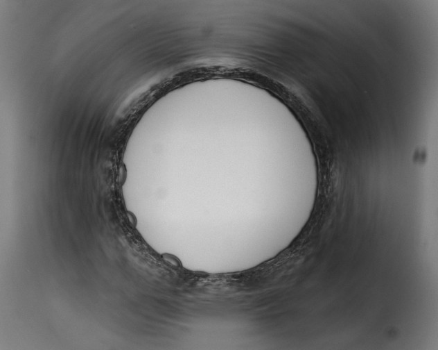 X0000115250967200911201639