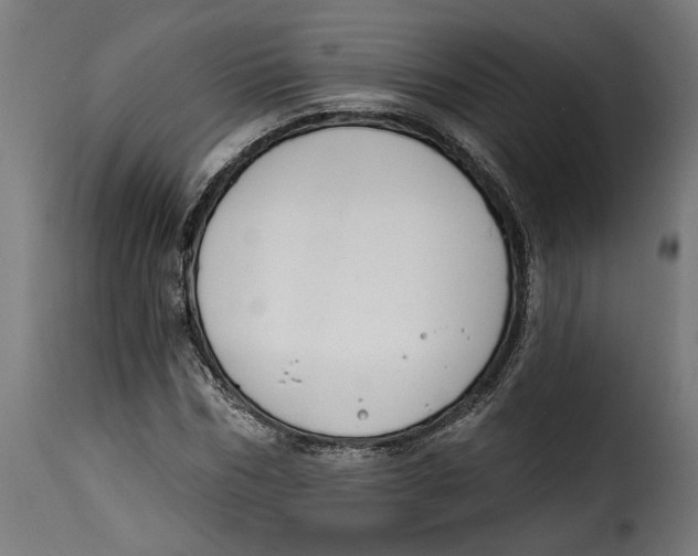 X0000115250970200911201639