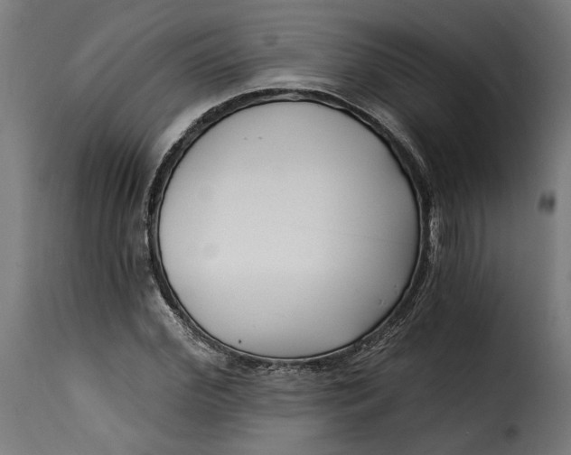 X0000115250972200911201639