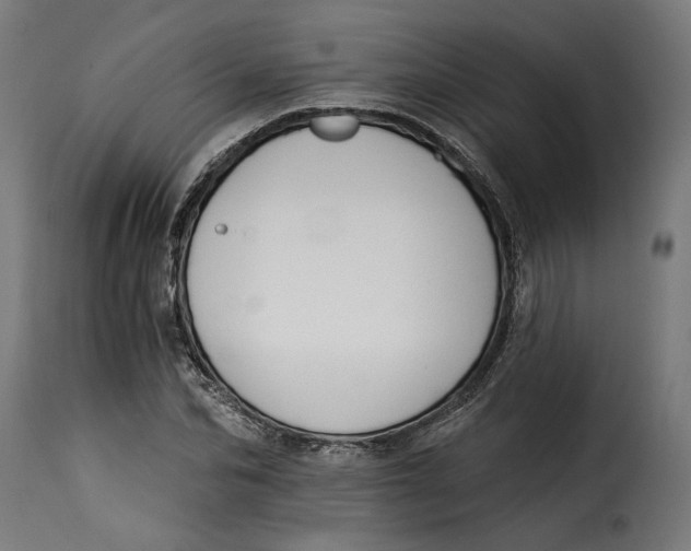 X0000115250974200911201639