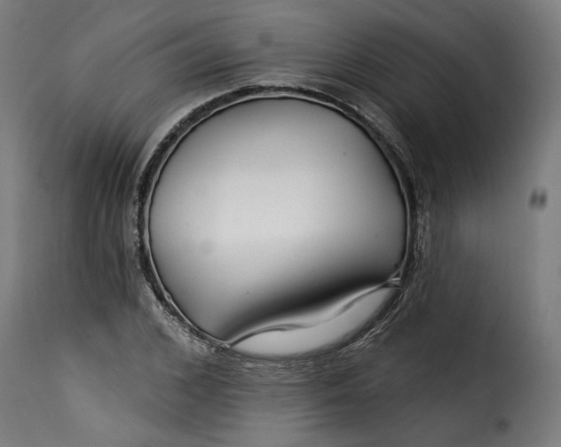 X0000115250976200911201639