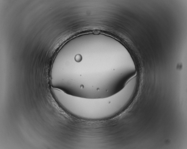 X0000115250977200911201639