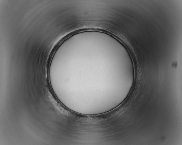 X0000115250980200911201639