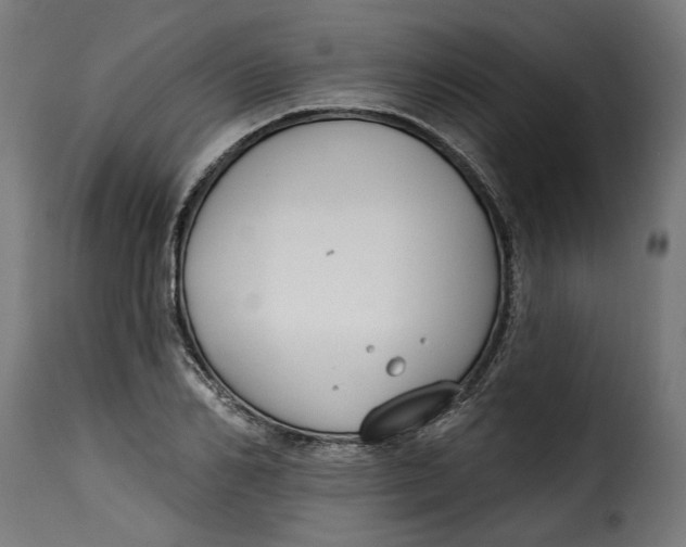 X0000115250982200911201638