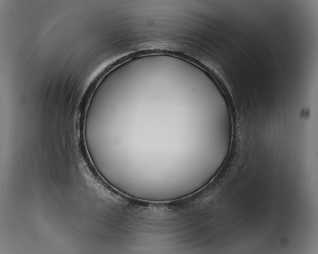 X0000115250983200911201638