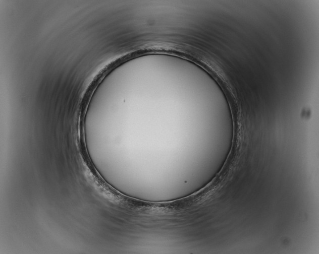 X0000115250984200911201638