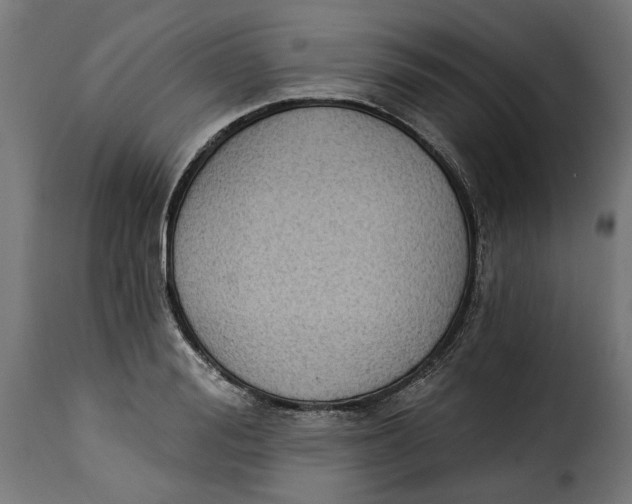 X0000115250988200911201638