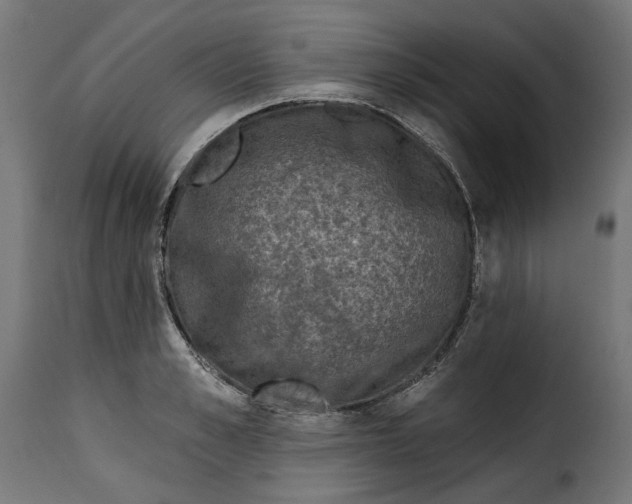 X0000115250989200911201638