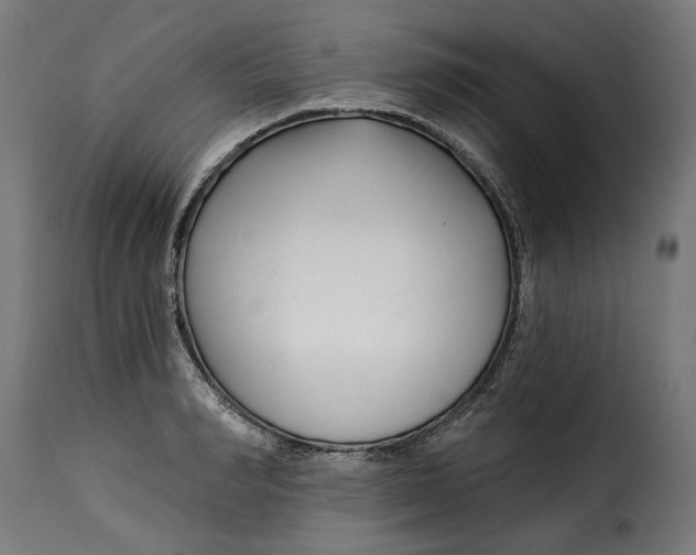 X0000115250990200911201638