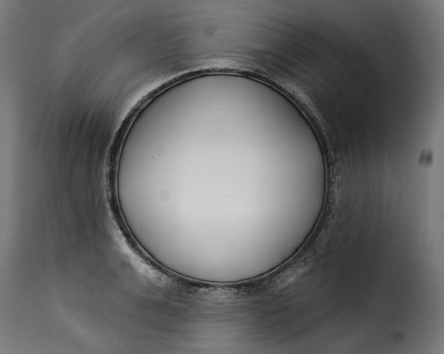 X0000115250991200911201638