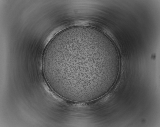 X0000115250994200911201638