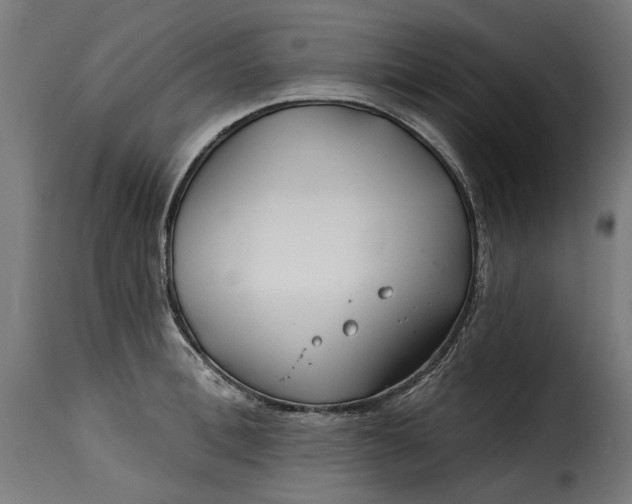 X0000115250996200911201638