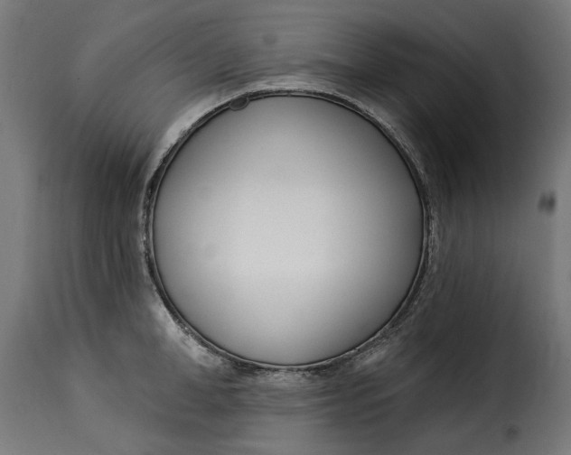 X0000115250998200911201638