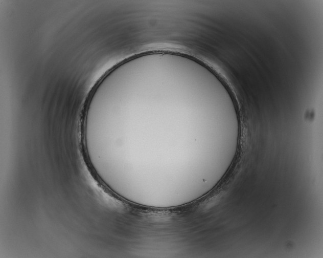 X0000115250999200911201638