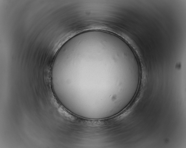 X0000115251001200911201638