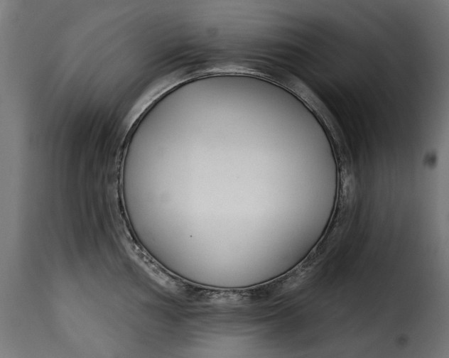 X0000115251002200911201638