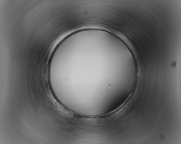 X0000115251004200911201638