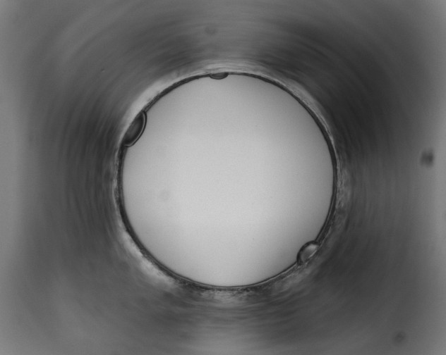 X0000115251005200911201638