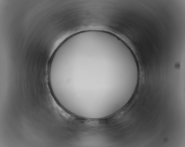 X0000115251006200911201638