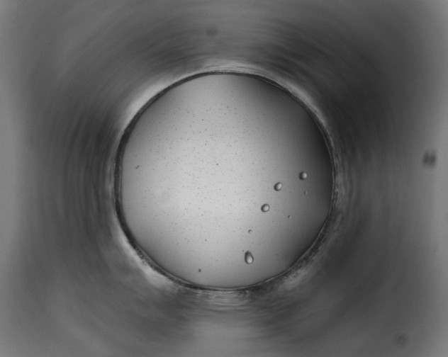 X0000115251007200911201638