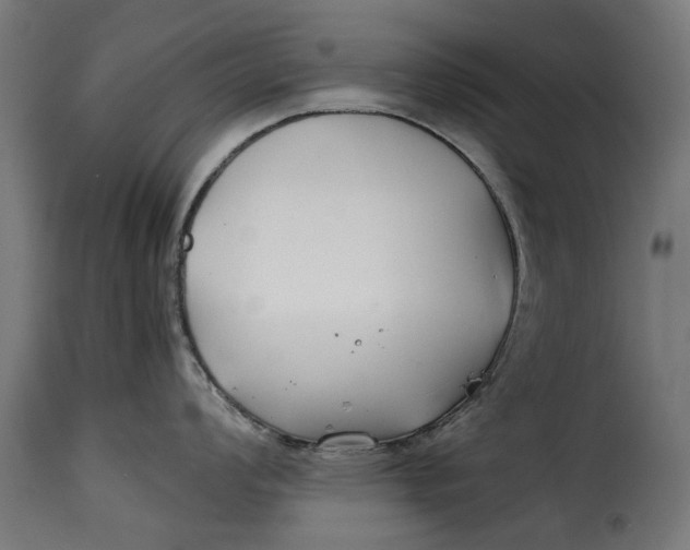 X0000115251008200911201638