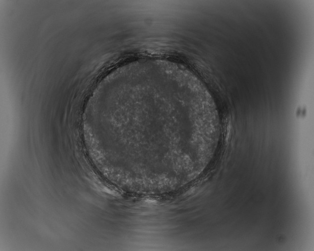 X0000115251009200911201637