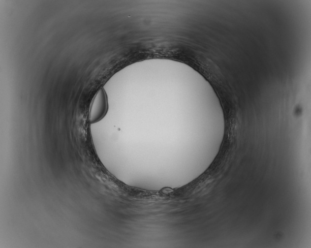 X0000115251010200911201637