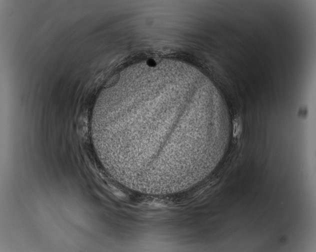 X0000115251011200911201637