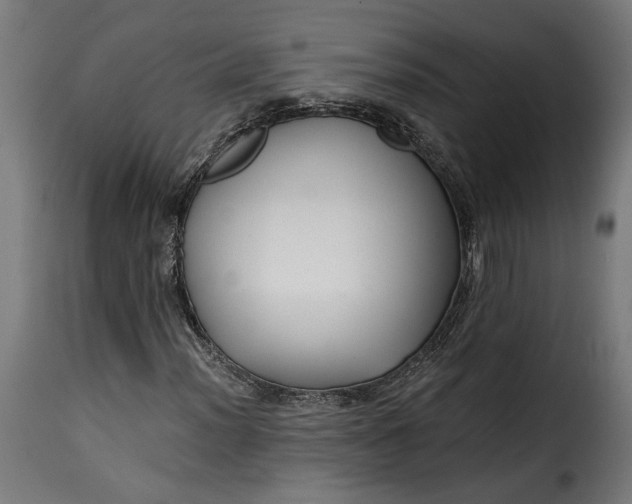 X0000115251012200911201638