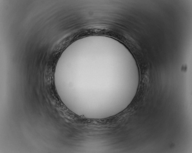 X0000115251014200911201638