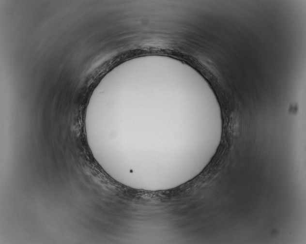 X0000115251015200911201638