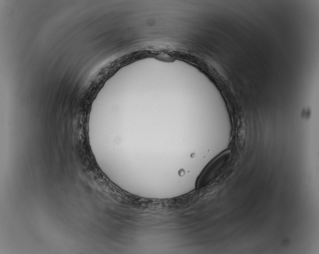 X0000115251016200911201638