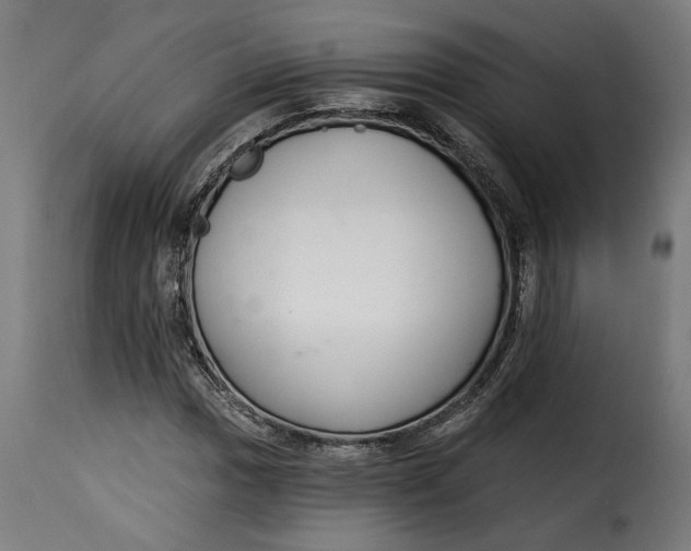 X0000115251017200911201638