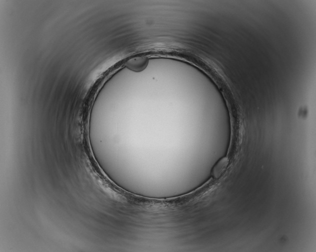 X0000115251018200911201638