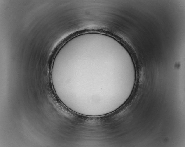 X0000115251021200911201638