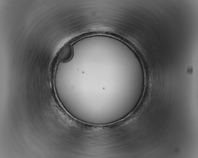 X0000115251022200911201638