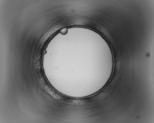 X0000115251026200911201638