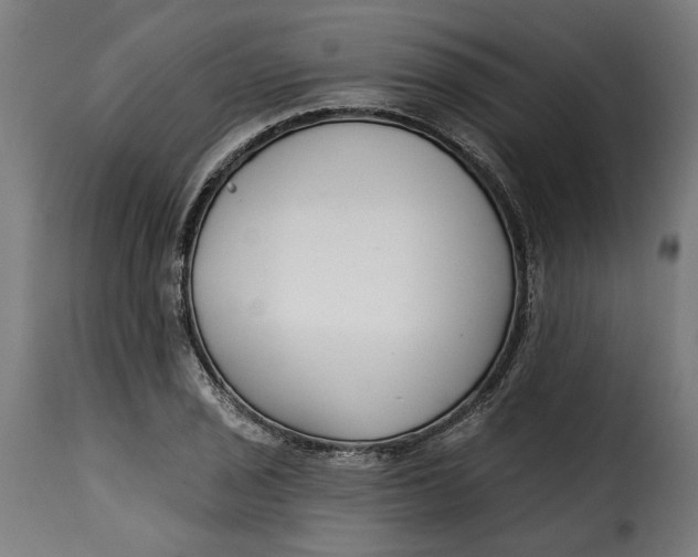 X0000115251029200911201638