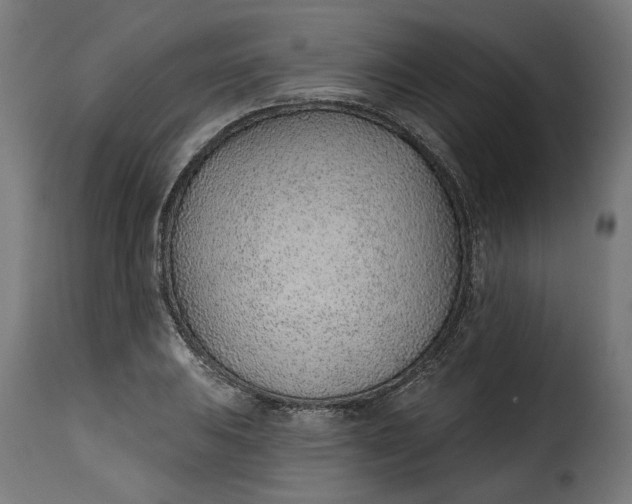 X0000115251031200911201638