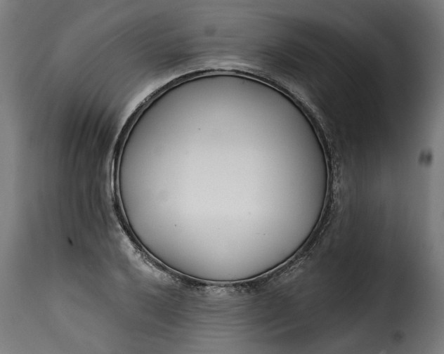 X0000115251032200911201638