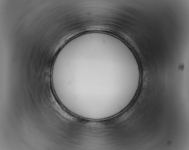 X0000115251033200911201638