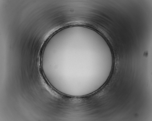 X0000115251034200911201638