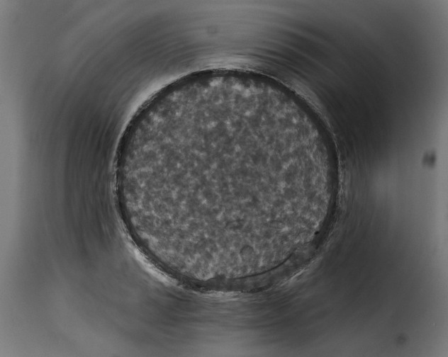 X0000115251037200911201638