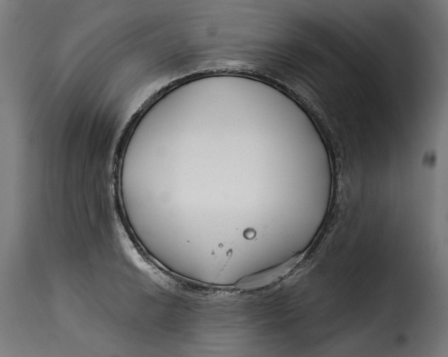 X0000115251038200911201638